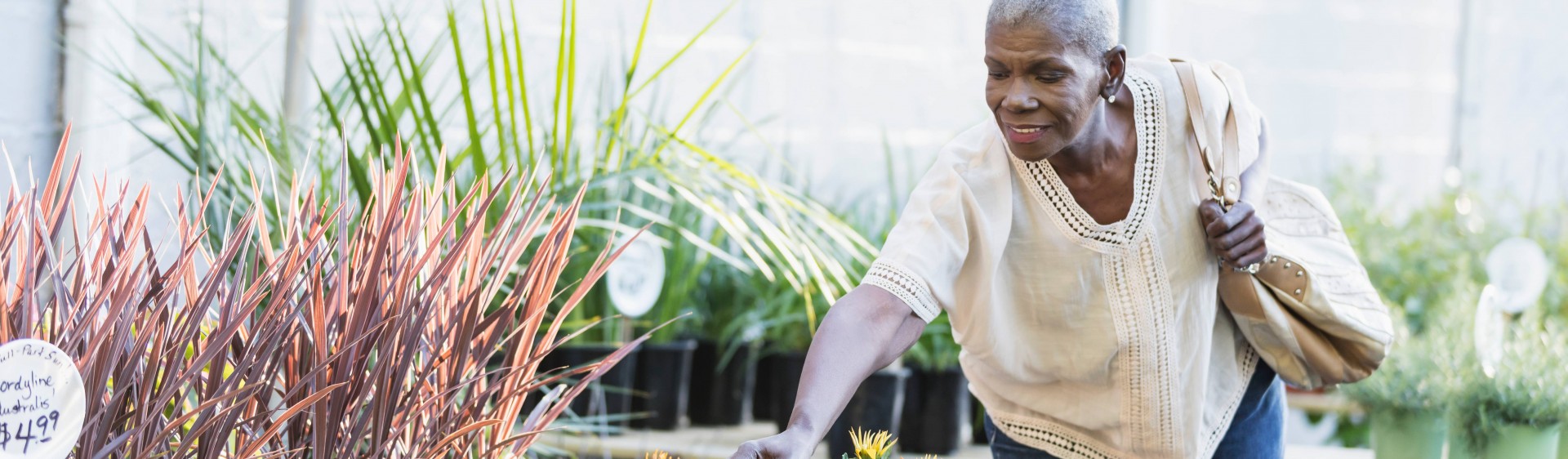 Aging Eye Eye Health Eye Care York PA